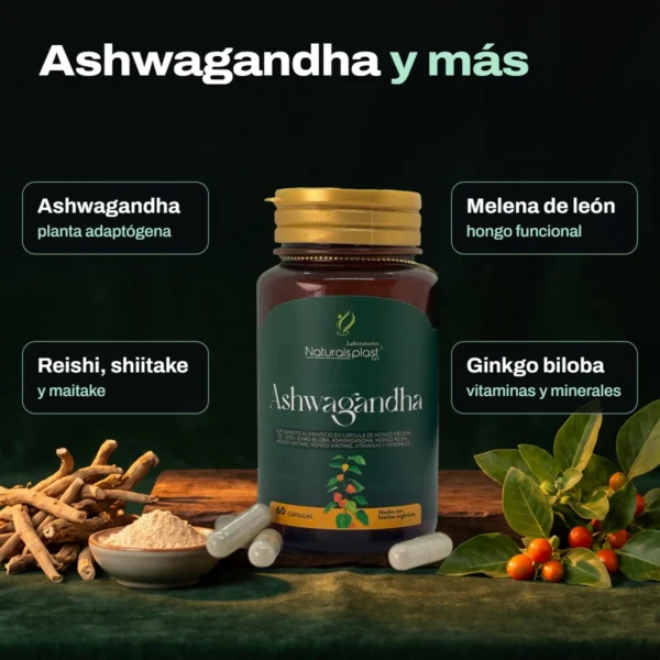 Ashwagandha - 60 cápsulas